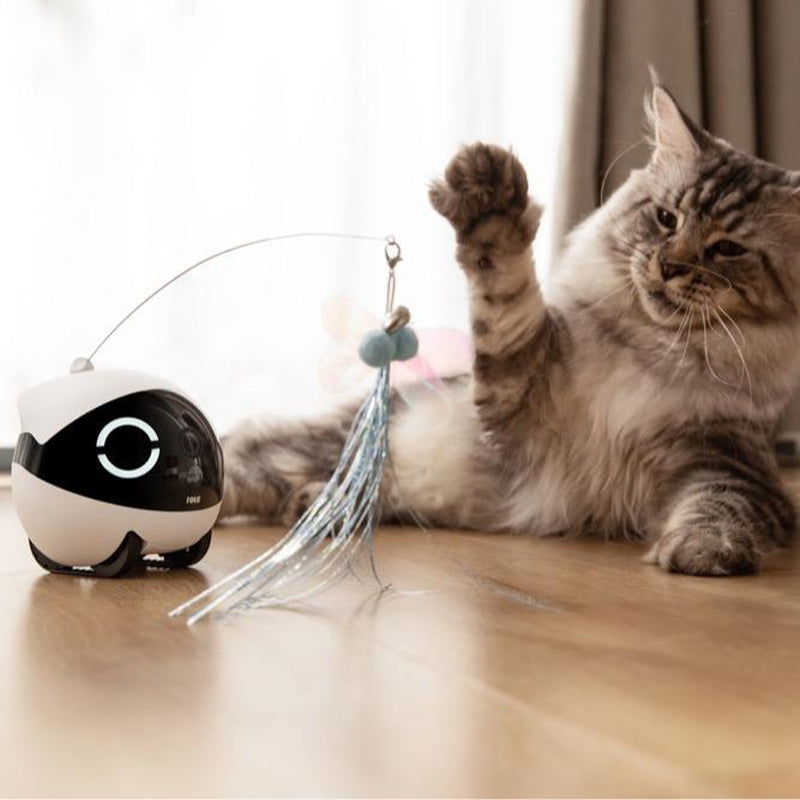 Enabot Ebo ROLA Mini 2K Camera Robot: Moving Pet Camera, up to 25 Days Battery Life, Built-In Call Button, Two-Way Audio