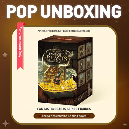 Unboxing-Fantastic Beasts Series Figures
