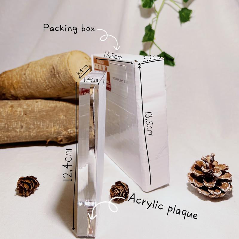 Italian Brainrot Toy Pack Acrylic Plaque Tralalero Tralala Cappucino Lirili Larila Funny Home Decor Signs