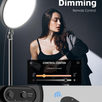 Weilisi Large Ring Light with 79" Stand, 6500K Full-Screen Selfie Ring Light with Stand and Phone Holder, Professional Big Ring Light for Live Stream, Youtube, Tiktok, Makeup, Video, Barber, Photography