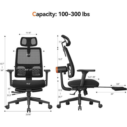 The Newtral Ergonomic Workstation Combo Is Suitable for Various Home Office Scenarios, Featuring Lumbar Support, 4D Armrests, and an Adjustable Chair and Desk Panel Combination.