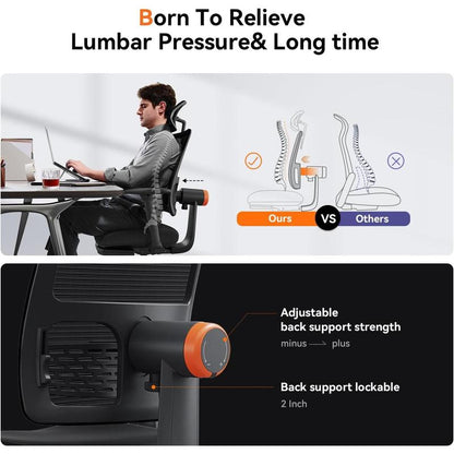 The Newtral Ergonomic Workstation Combo Is Suitable for Various Home Office Scenarios, Featuring Lumbar Support, 4D Armrests, and an Adjustable Chair and Desk Panel Combination.