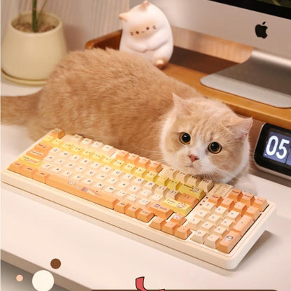 AUSDOM 98Pro Silent Mechanical Keyboard,Wireless Hot Swappable Gaming Keyboard with Backlit,Gasket Structure,Pre-Lubed Tactile Switches,2.4Ghz/Type-C/Bluetooth Custom Keyboard