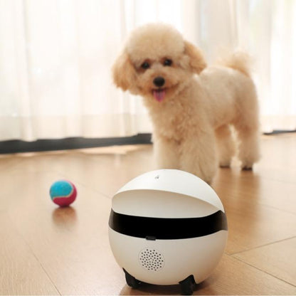 Enabot Ebo ROLA Mini 2K Camera Robot: Moving Pet Camera, up to 25 Days Battery Life, Built-In Call Button, Two-Way Audio